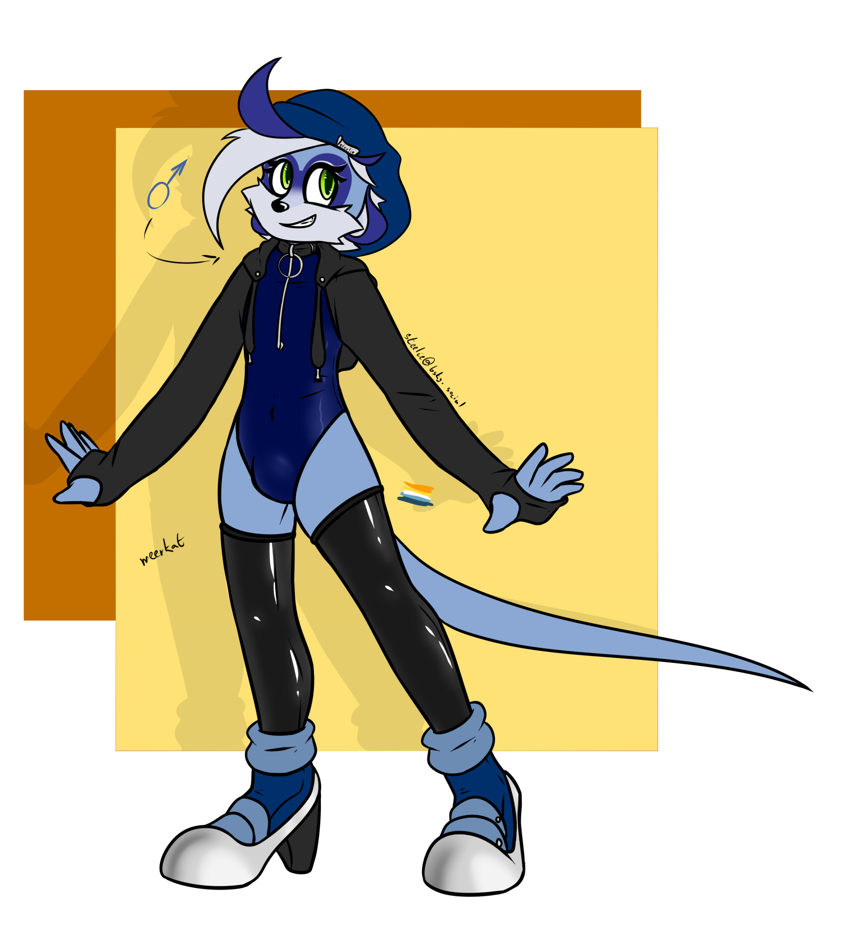 01-12 first meerkat of 26.png