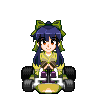 10a Clover Patch.gif