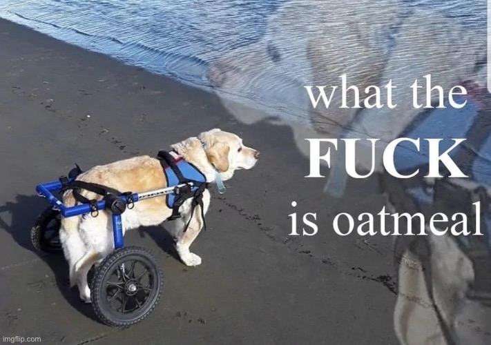 1694055359204.png