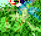 1712200485823~2.png