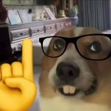 Nerd Dog | Know Your Meme