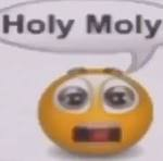 1716064206573.png