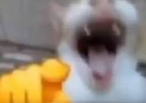 1768499382259.png