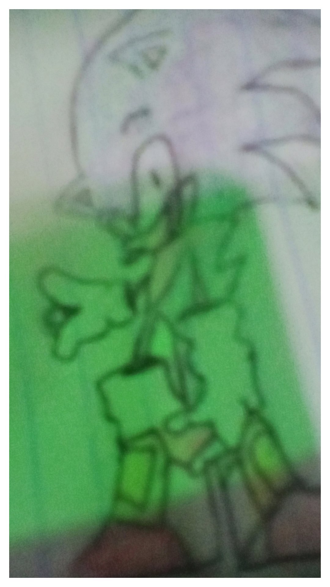 20260817_181452-COLLAGE.jpg