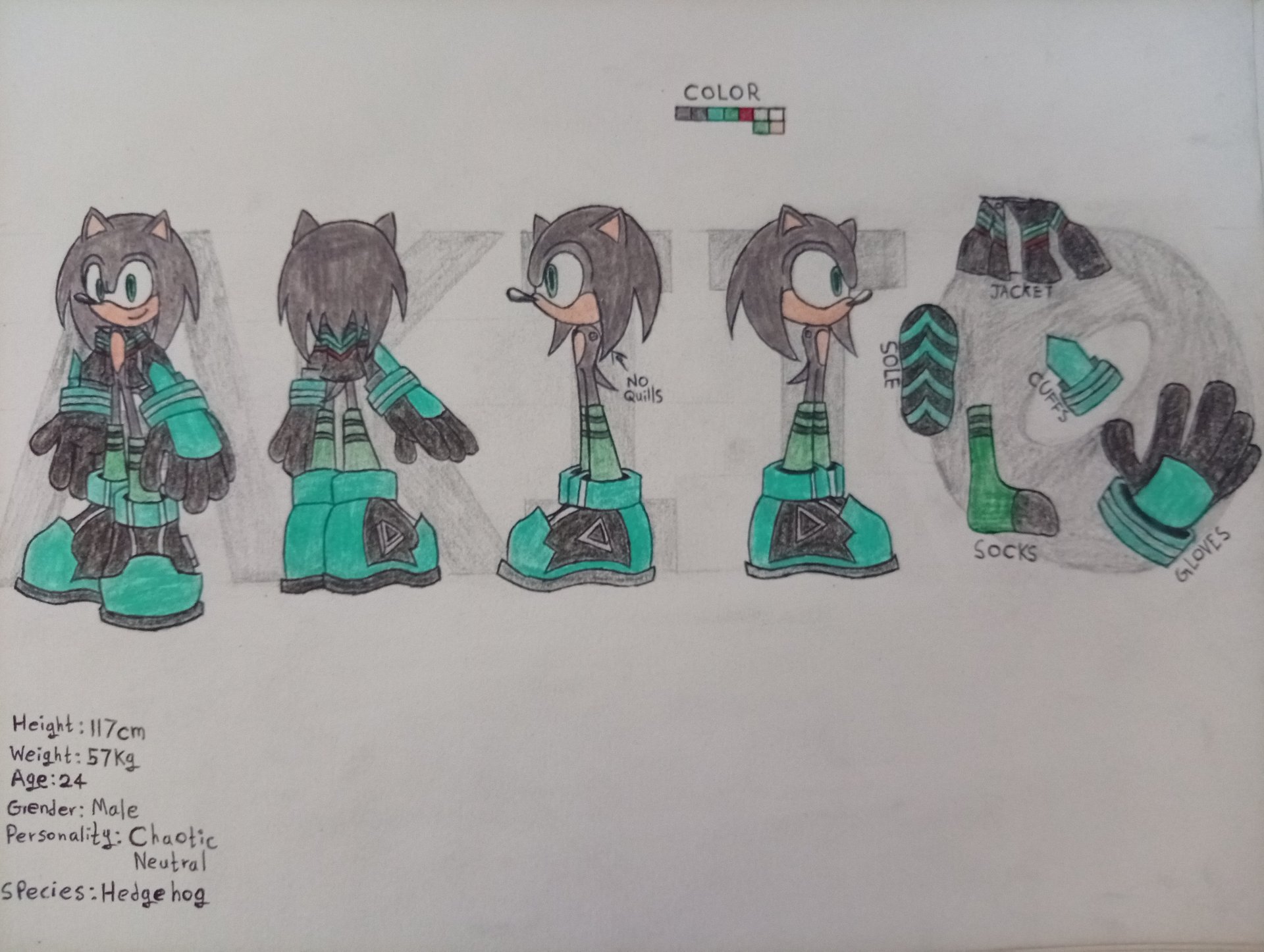 2597.jpg