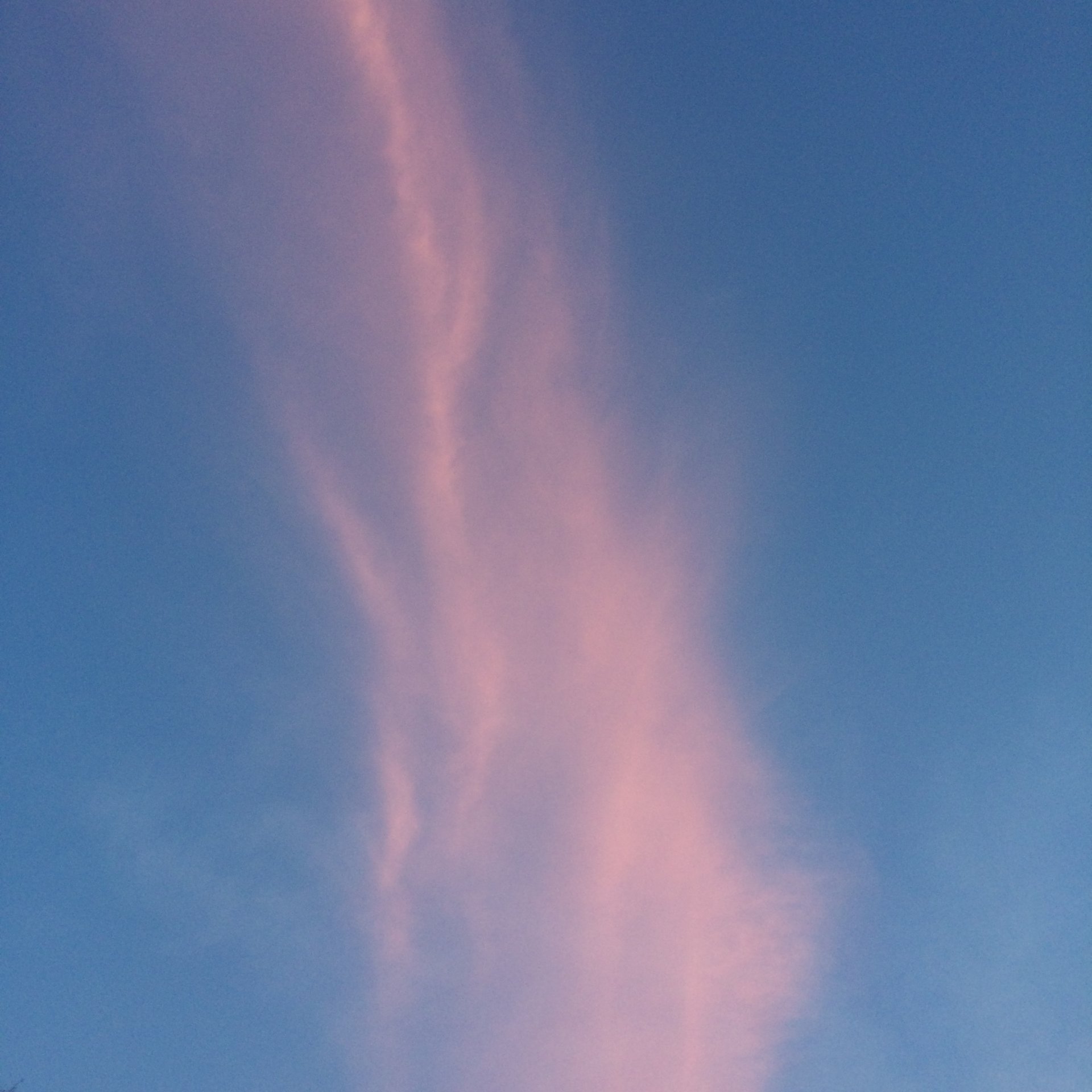 A10EF150-20FF-41B8-9645-BAB6CEB55B61.jpeg