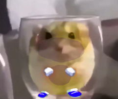 Ay.png
