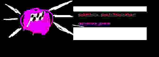 banner-export.jpg