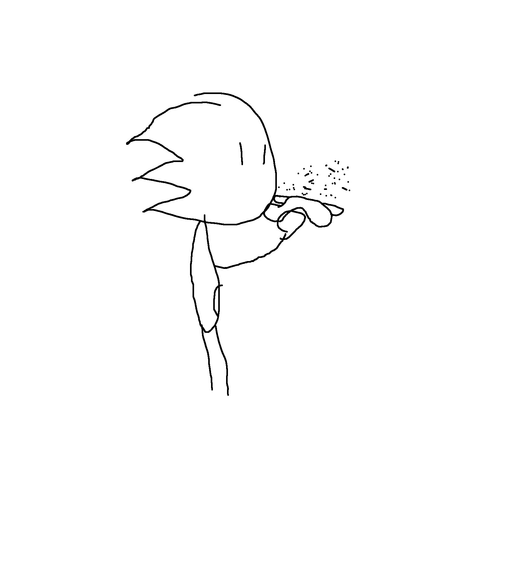 boom.png