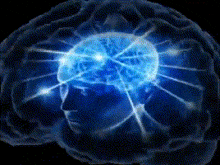 brain.gif