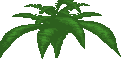 CEZBB0alt.png