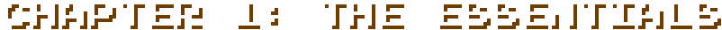 chapter1essentials.png