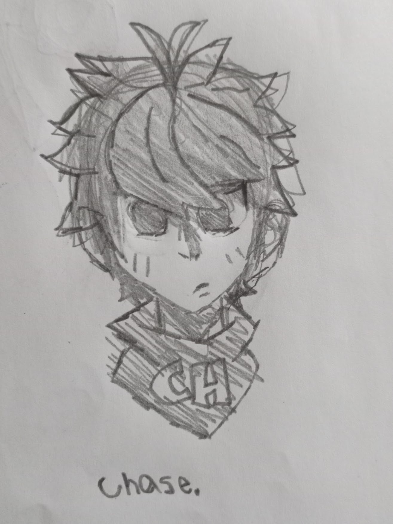 Chase3.jpg