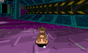 freddyspin.gif