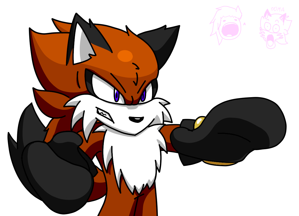 fsv.png