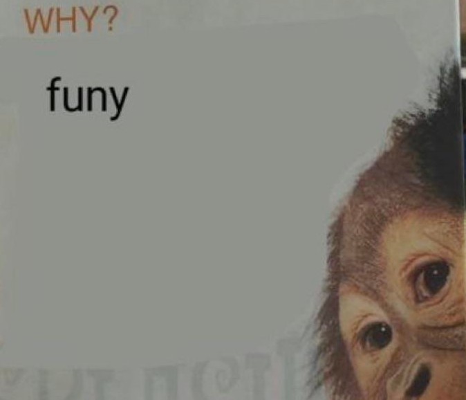 funy.jpg
