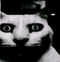 helluncannycat.png