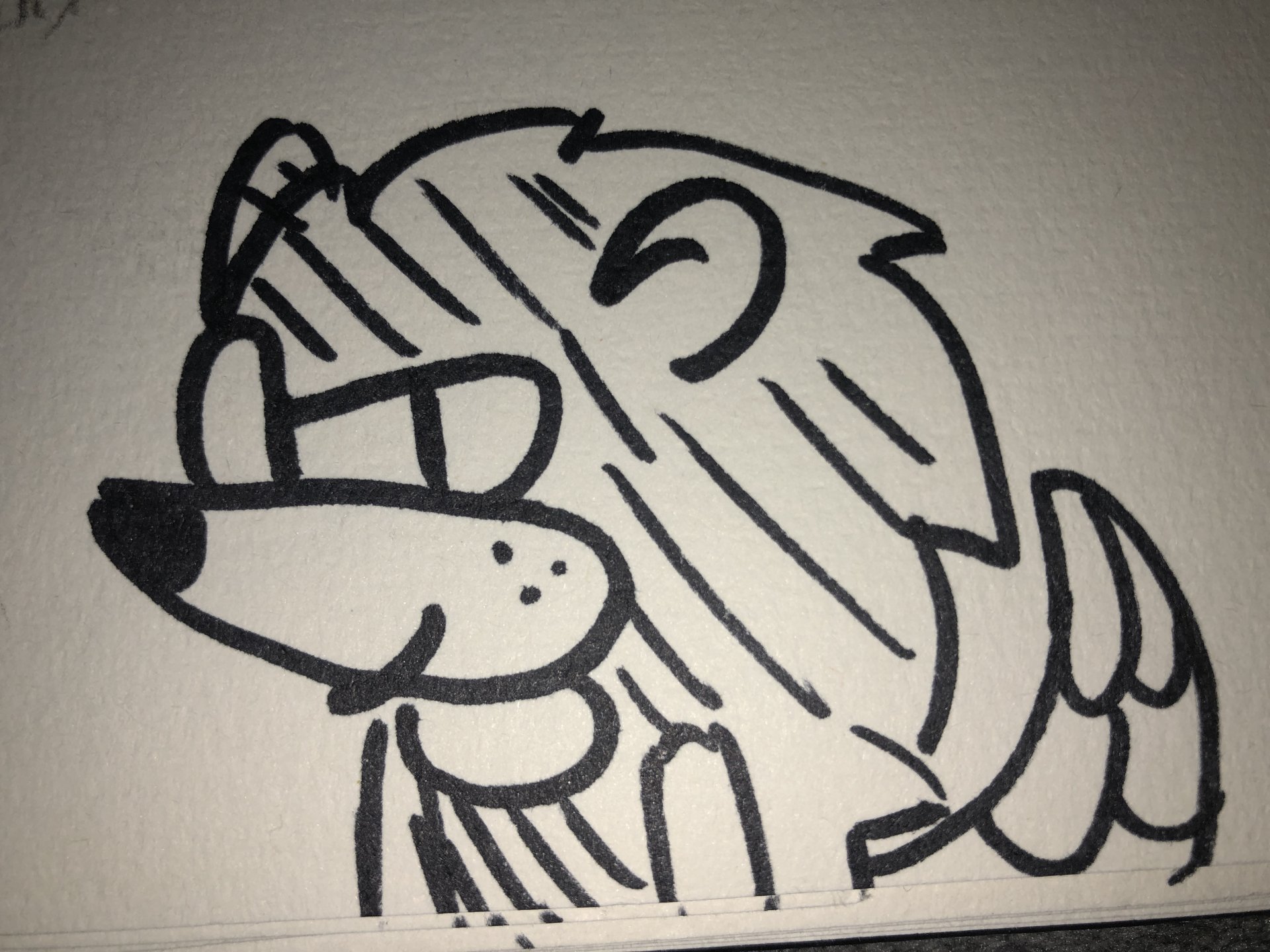 image.jpg