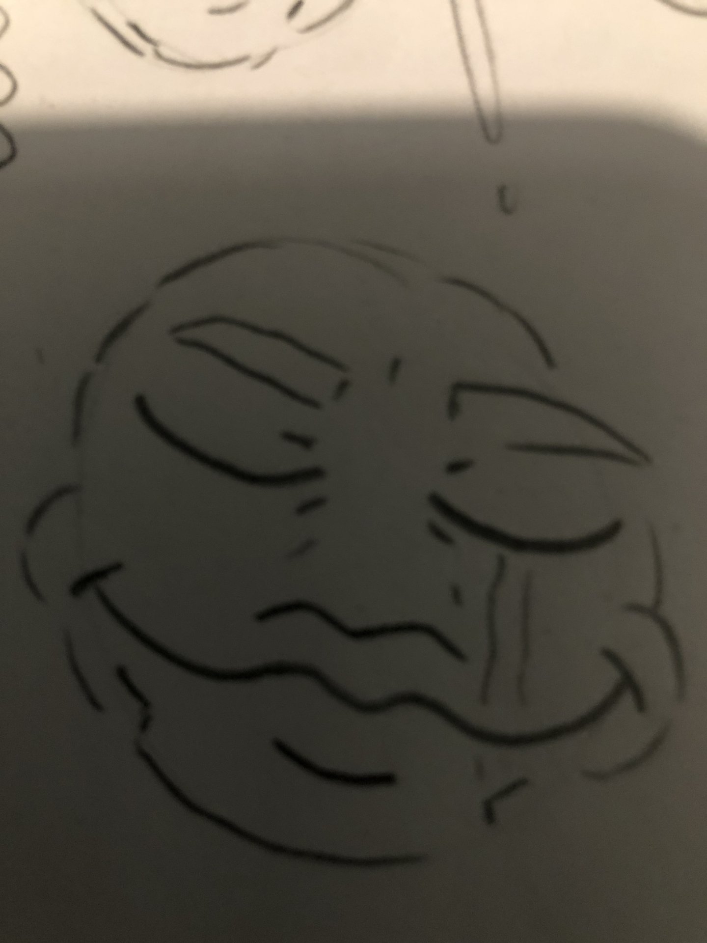 image.jpg