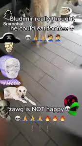 IMG_0509.jpeg