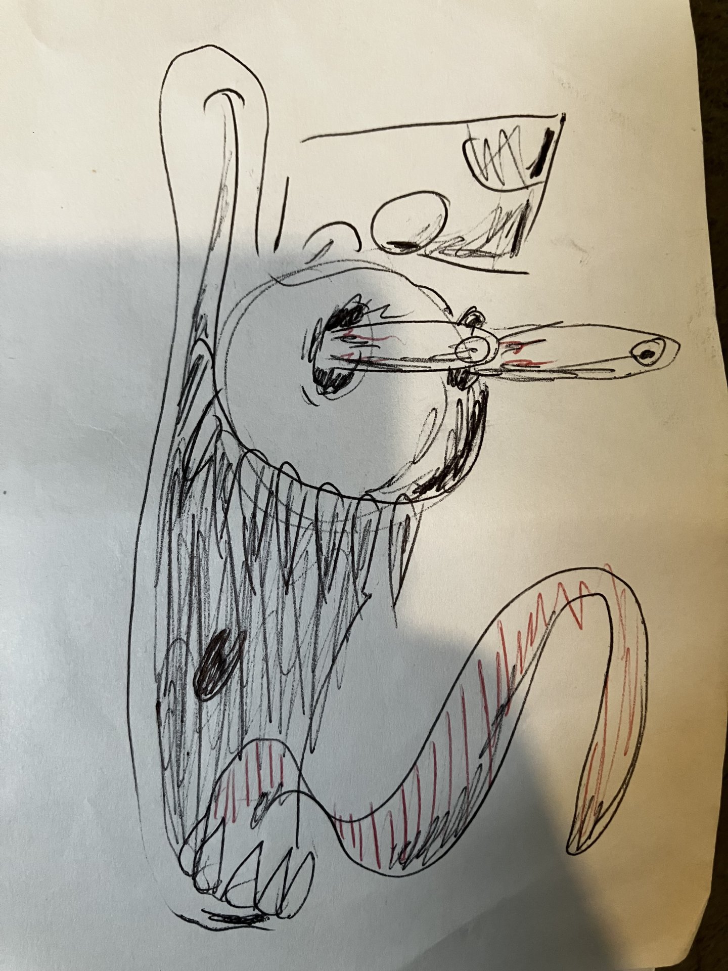 IMG_0767.jpeg