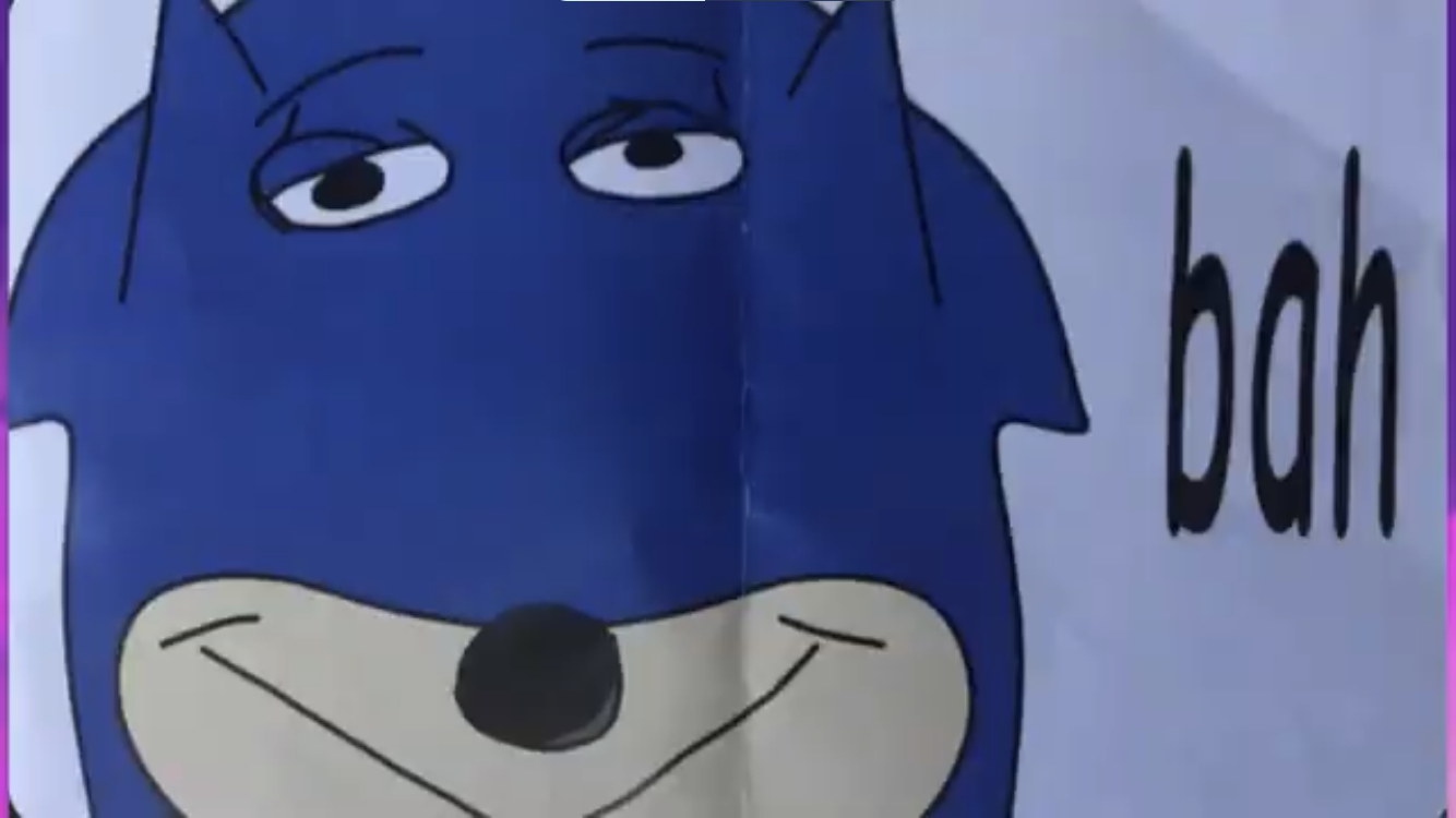 IMG_6339.png