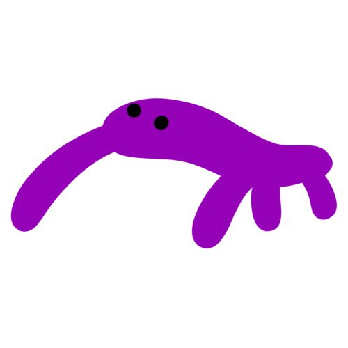 Joey.png