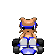 kangagunnerspin.gif