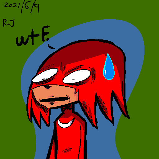 KnuxWTF.png