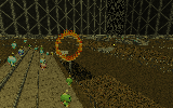 MAP67P.png