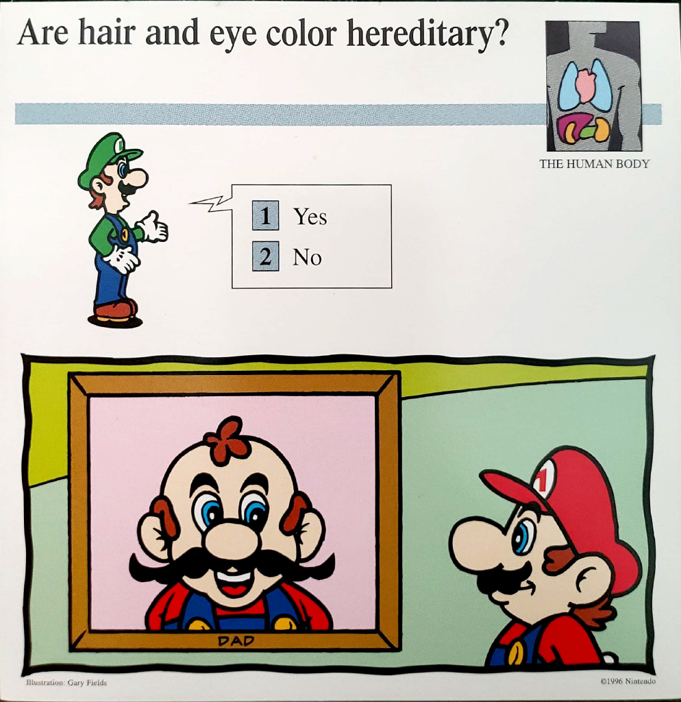 Mario's_dad_MQC.png