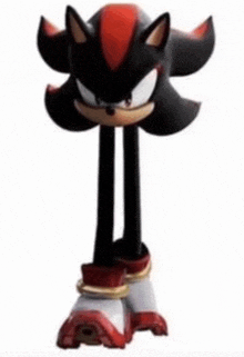 meme.gif