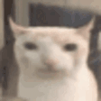 monch.gif