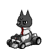 narinder.png