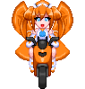 NepKart.gif