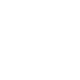 Regular_poster_template.png