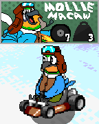 ringracerpromo-17.png
