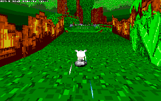 ringracers0000.gif