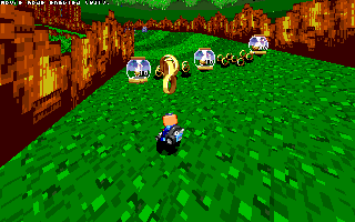ringracers0000.gif