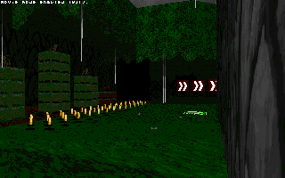 ringracers0004.gif