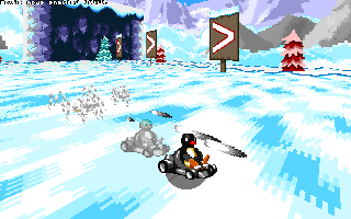 ringracers0005.gif
