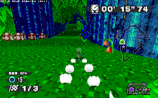 ringracers0005.gif