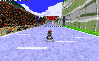 ringracers0005.gif