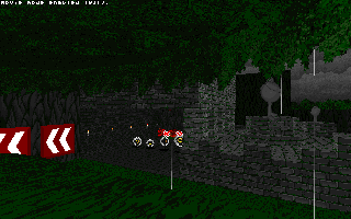 ringracers0005.gif