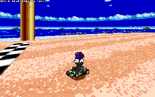 ringracers0006.gif