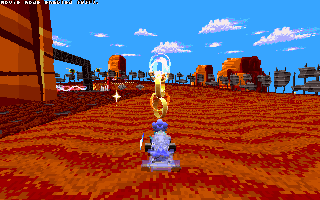 ringracers0012.gif
