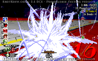 ringracers0016.gif