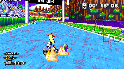ringracers0017.gif