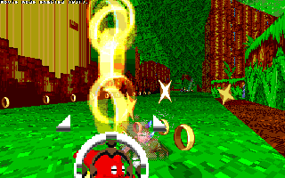 ringracers0018.gif