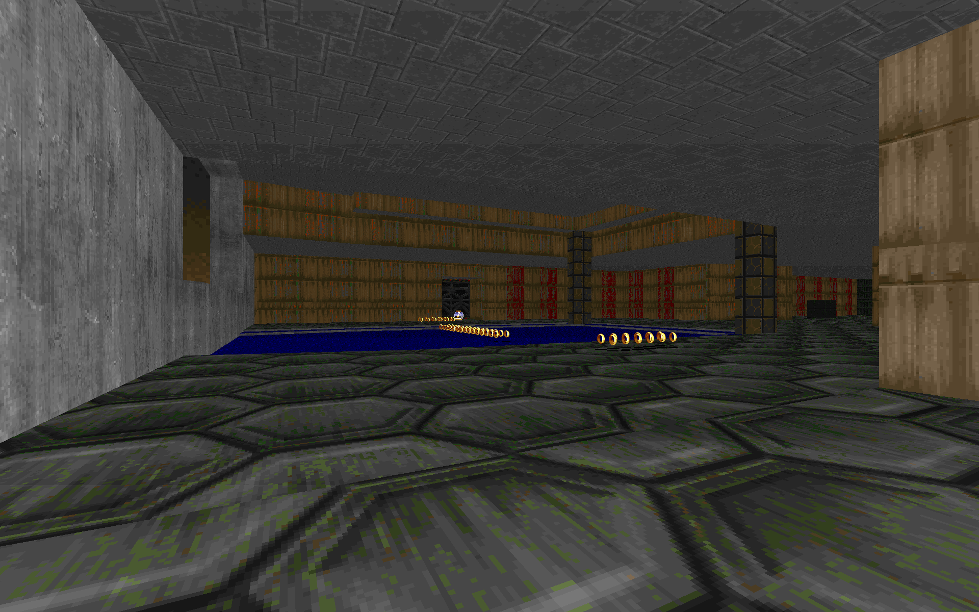 ringracers0021.png